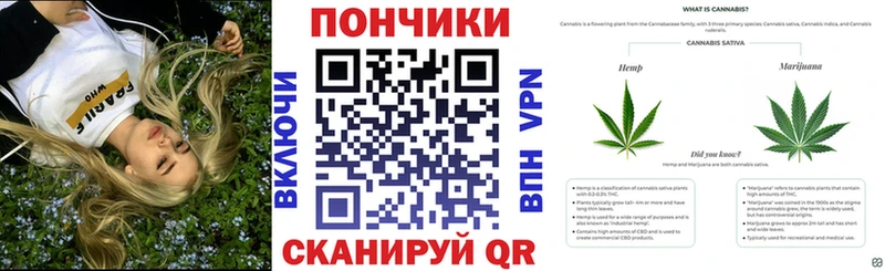 Бошки марихуана планчик Ставрополь